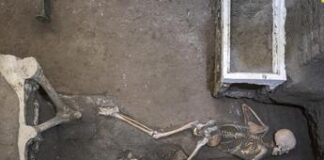 Pompei, trovati resti di altre due vittime dell’eruzione