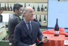 Prosecco DOCG: brindisi ufficiale alla Mostra del Cinema di Venezia. Luca Zaia: un protagonista al fianco delle star mondiali Prosecco DOCG, brindisi ufficiale alla Mostra del Cinema di Venezia (frame Rai Regione)
