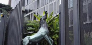 Rai, centrodestra accelera su cda e vertici: si cerca intesa prima delle ferie Rai e il famoso cavallo di Viale Mazzini