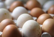 Rischio salmonella, ritirato lotto di uova Selex