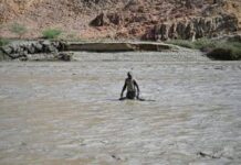 Sudan, cede diga dopo forti piogge: almeno 60 morti