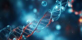 Trasmissione segnali nervosi, Rna non codificante li regola