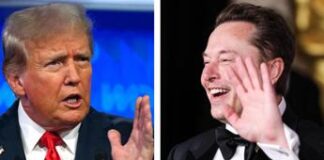 Trump: “Grande intervista con Elon Musk la prossima settimana”