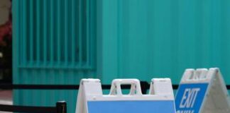 Vaiolo delle scimmie, in Svezia primo caso Ue con nuova variante Clade1