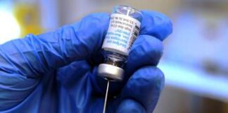 Vaiolo scimmie, Oms: “Mpox emergenza sanitaria internazionale”