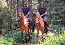 Carabinieri Forestali a cavallo sull’Altopiano dei Sette Comuni: da qui passa la vigilanza ambientale carabinieri forestali cavallo altopiano sette comuni veneto
