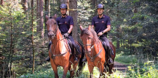 Carabinieri Forestali a cavallo sull’Altopiano dei Sette Comuni: da qui passa la vigilanza ambientale carabinieri forestali cavallo altopiano sette comuni veneto