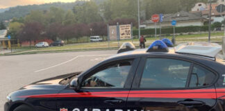 Montebello Vicentino: lavoratori irregolari nei campi, Carabinieri denunciano e multano titolare di un’azienda agricola Carabinieri valdagno denunciano titolare azienda agricola per lavoro irregolare