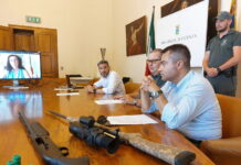 Al via interventi di allontanamento dei lupi con pallottole in gomma. Si parte da Arsiero e Torrebelvicino Interventi per limitare il lupo nel Vicentino