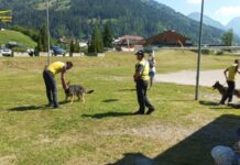 Ricerca con cani, Guardia di Finanza di Belluno incontra i ragazzi dei centri estivi soccorso cani