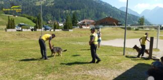 Ricerca con cani, Guardia di Finanza di Belluno incontra i ragazzi dei centri estivi soccorso cani