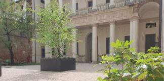 Biblioteca Bertoliana, laboratori didattici per bambini sulla sostenibilità ambientale Biblioteca Bertoliana, nel cortile di palazzo cordellina laboratori didattici per bambini