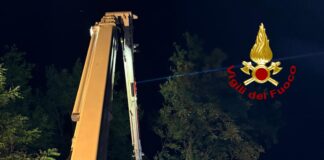 Vigili del fuoco intervengono 9 volte nell’Alto Vicentino per piante pericolanti