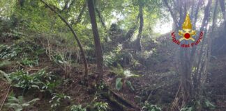 Un 64enne cade lungo le pendici a Chiampo e muore, i Vigili del fuoco arrivati da Arzignano nulla possono fare per rianimarlo