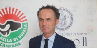 Agroalimentare, Assolatte: “I consumatori devono sapere se comprano latte o un prodotto chimico”