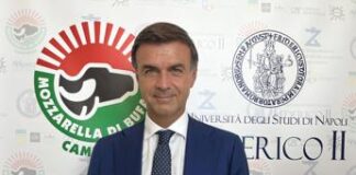 Agroalimentare, Prandini (Coldiretti): “Basta attacchi e fake news su produzioni di eccellenza”