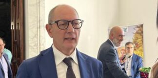 Agroalimentare, Raimondo (Consorzio Bufala Campana Dop): “Filiera mozzarella unicum da tutelare”