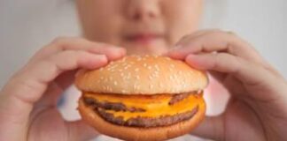 Alimenti: Gb, da ottobre 2025 vietati spot junk food in Tv fino alle 21