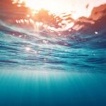 Alla scoperta del mondo sommerso, gli obiettivi della ricerca