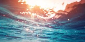 Alla scoperta del mondo sommerso, gli obiettivi della ricerca