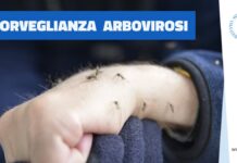 Arbovirosi (Dengue, West Nile e TBE), interrogazione di Montanariello (Pd): “Aumentano i casi, quali interventi dalla Regione?” Arbovirosi, malattie trasmesse da piccoli insetti