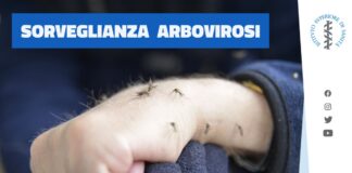 Arbovirosi (Dengue, West Nile e TBE), interrogazione di Montanariello (Pd): “Aumentano i casi, quali interventi dalla Regione?” Arbovirosi, malattie trasmesse da piccoli insetti