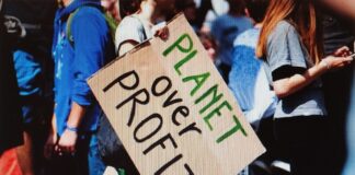 L’era della sostenibilità: il ruolo delle auto elettriche nella lotta al cambiamento climatico Auto elettriche e impatto ambientale