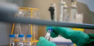 Aviaria, primo caso virus H5N1 in un bambino negli Usa