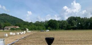 Bat Italia lancia Weplant, Ia e innovazione al servizio di una agricoltura sostenibile