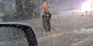 Bloccato in auto dal nubifragio, salvato con una corda – Video