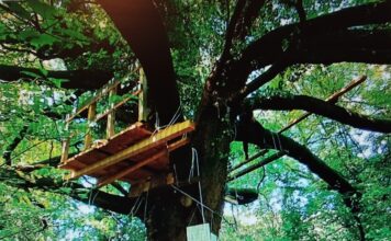 Bosco ex Lanerossi salvato: accordo tra Iricav due e Comune. Possamai: «Un presidio di biodiversità che da oggi diventa pubblico» Bosco Lanerossi