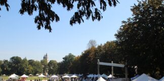 Parco Querini, torna “Camminando tra gli sport”. Domenica oltre 60 società animeranno lo spazio verde vicentino Camminando tra gli sport a Parco Querini