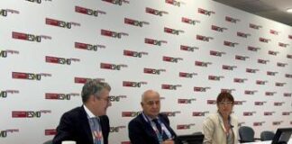 Cancro seno avanzato, cambia pratica clinica nella lotta a metastasi cerebrali