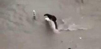 Cannes allagata dopo violento nubifragio, le immagini choc sui social – Video