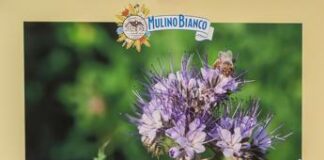 Chef Carrara: “ Sostenibile vuol dire fare un prodotto che ti permette di salvaguardare il futuro, quello che verrà”