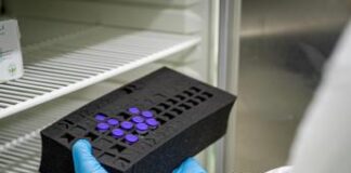 Covid, chi deve fare il vaccino e quando: tutte le risposte