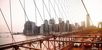 Da New York allerta encefalite equina orientale: primo morto, minaccia per la salute pubblica