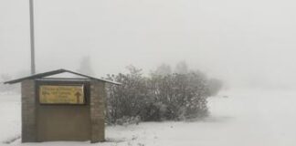 Eccezionale nevicata in Sudafrica, persone bloccate in auto e leoni sorpresi