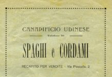 Filiera della canapa, Masolo (EV) presenta interrogazione: aderisce anche Baldin (M5s) Filiera della canapa, una vecchia immagine