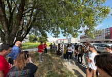 Italgelato di Camisano Vicentino, firmato accordo chiusura stabilimento. Dall’azienda proposte per salvaguardia lavoratori Italgelato di Camisano Vicentino