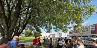 Italgelato di Camisano Vicentino, firmato accordo chiusura stabilimento. Dall’azienda proposte per salvaguardia lavoratori Italgelato di Camisano Vicentino