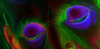 L’Intelligenza Artificiale al servizio dell’Arte e della conservazione del patrimonio artistico