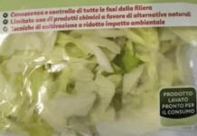 Batterio “Listeria” in insalata iceberg in busta, richiamati lotti 19 marchi tra cui Selex che opera con Famila, A&O, C+C e insegne locali Batterio Listeria in insalata iceberg in busta, richiamati lotti di 19 marchi