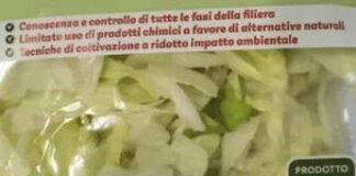 Batterio “Listeria” in insalata iceberg in busta, richiamati lotti 19 marchi tra cui Selex che opera con Famila, A&O, C+C e insegne locali Batterio Listeria in insalata iceberg in busta, richiamati lotti di 19 marchi