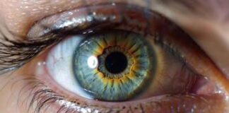 Maculopatia ed edema diabetico, studi confermano efficacia aflibercept