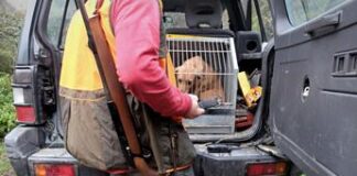 Messina, 27enne ucciso da colpo di fucile durante battuta di caccia