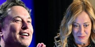 Musk e le illazioni social: “Nessuna relazione con Meloni”