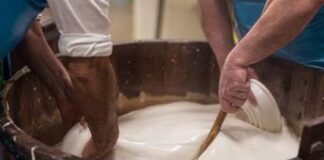 Napoli capitale della mozzarella di bufala con il 1° congresso internazionale