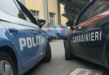 Vicenza, rapinatore 17enne tunisino semina il panico in centro: Naclerio chiede un encomio per agenti Polizia di Stato, Carabinieri e Polizia Locale Polizia di Stato e carabinieri impegnati in un servizio di controlli interforze a Vicenza