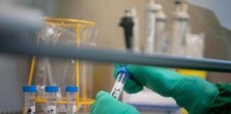 Prostata, svelata la rotta segreta delle infezioni: la scoperta rivoluzionaria